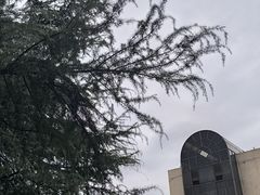 -浙江大学(玉泉校区)