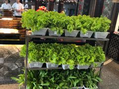 -常和州·夜宵大排档(常州单店)