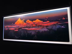 -罗红摄影艺术馆