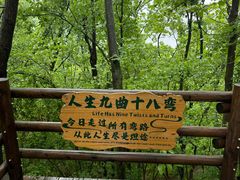 -天目湖山水园