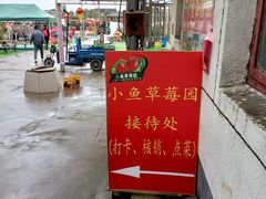 -小鱼草莓采摘园农家乐·小鱼餐厅