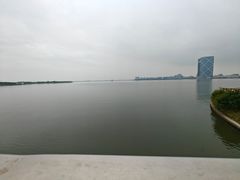 -上海鲜花港