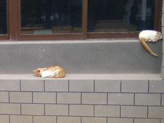 -安徽工业大学(秀山校区)