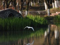 -成都中医药大学(温江校区)