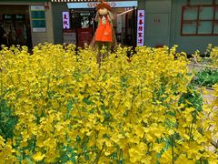 -金轮星光名座生活广场