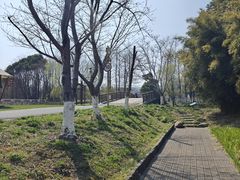 -长田漾湿地公园