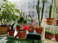 -北李妈妈菜·海肠捞饭(高新万达店)