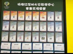-杨梅红艺术教育(水贝教学中心)