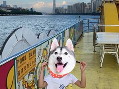 -珠江夜游广州塔·中大码头