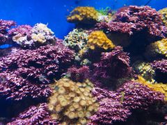 -海合安成都极地海洋公园
