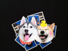 -柯达靓之彩影像网络(明瓦廊店)