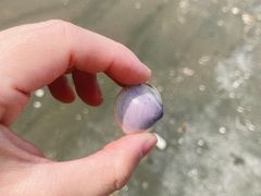 -启东黄金海滩景区
