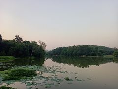 -南宁良凤江国家森林公园