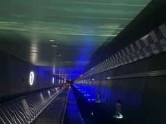 -白鹤梁水下博物馆