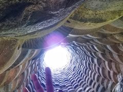 -金卉庄园