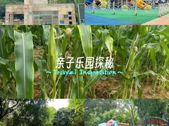 -天河儿童公园