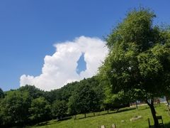 -哈尔滨北方森林动物园