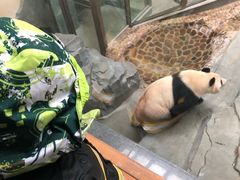 -天目湖御水温泉·度假酒店