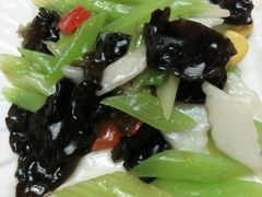 android_upload_pic-津菜宋记老房子(平山道店)