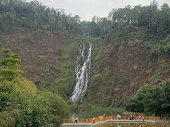 -水濂山森林公园