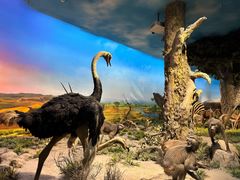 -国家自然博物馆