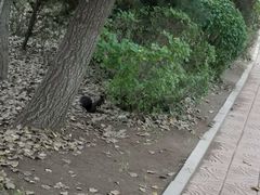 -汤沐邑温泉会馆