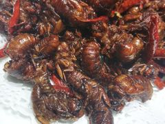 -洪沟崖张记炒鸡店(聚才路店)