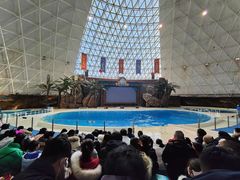 -皇家极地海洋世界-售票处