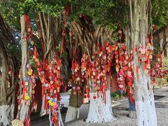 -白帝城·瞿塘峡景区