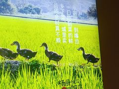 -杨厨的田园饭店(长城路店)