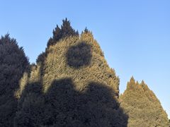 -常家庄园