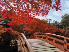 -醍醐寺