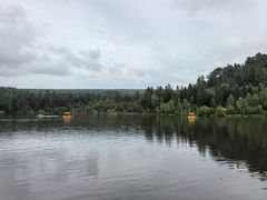 -五营红松林海景区