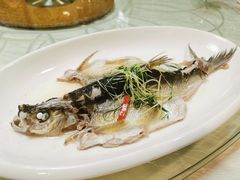 -寻味顺德·南记酒家·传统顺德菜·鱼生(广源路店)