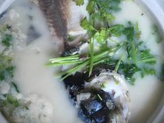 -天乐农家鱼头王(天目湖店)