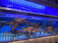-锦色·烧鹅·海鲜(臻享店)