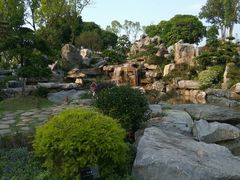 -东莞植物园