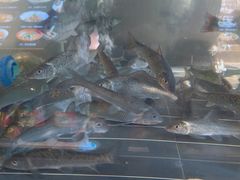 -湘知湘味(岳麓山店)