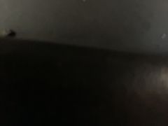 -华哥新鲜猪精品美食