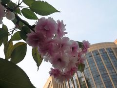 -北京师范大学附属中学