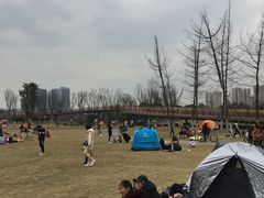 -府河摄影公园