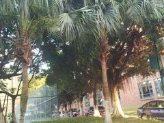 -北京师范大学(珠海校区)