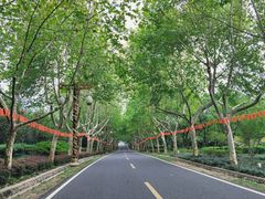 -宜兴龙背山森林公园
