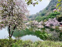 -星湖旅游景区七星岩