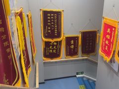 -瑞鹏宠物医院·爱宠堂·骨外专科(西荷分院)