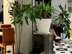 -一尺花园(安和花园店)