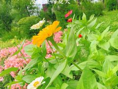 -长春公园(普阳街道)