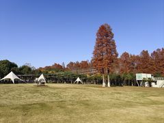 -嘉兴清池酒店温泉