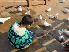 -无锡动物园·太湖欢乐园