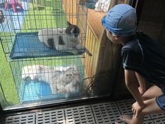 -上海崇明金茂凯悦酒店